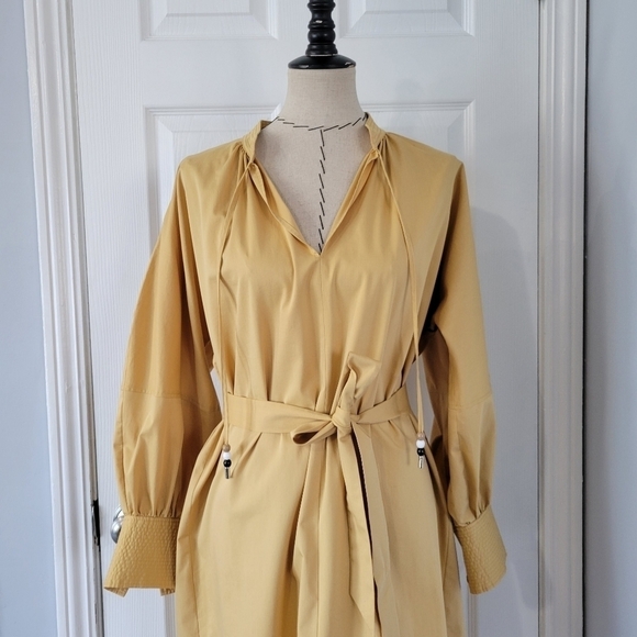 Boss Dapera Poplin Sheath Dress - Picture 5 of 11